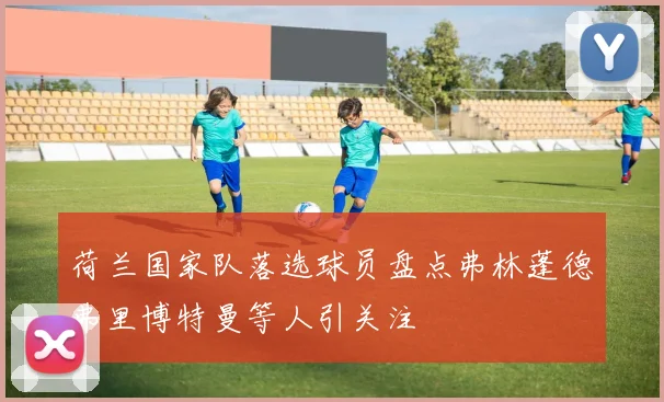 荷兰国家队落选球员盘点弗林蓬德弗里博特曼等人引关注