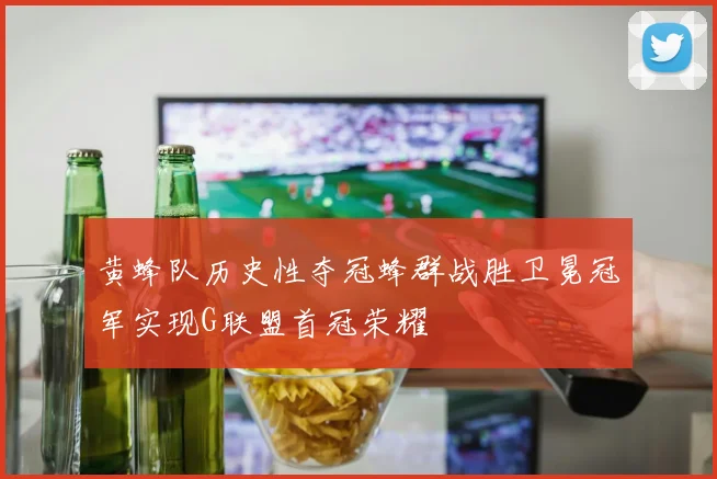 黄蜂队历史性夺冠蜂群战胜卫冕冠军实现G联盟首冠荣耀