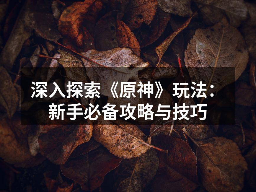 探索提瓦特大陆的美丽风景