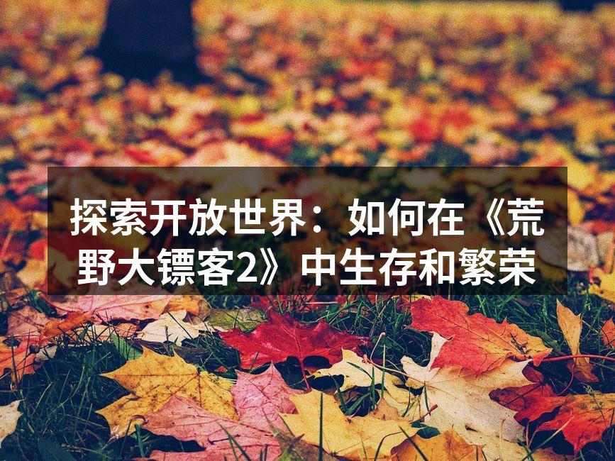 荒野大镖客2游戏封面