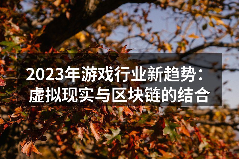 2023年游戏行业新趋势：虚拟现实与区块